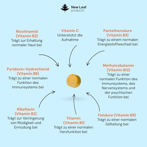 Vitamin B-Komplex – 365 kleine Tabletten – alle 8 B-Vitamine B1-B2-B3-B5-B6-B12 (1 Jahrvorrat) hochfestes Biotin, Folsäure und Vitamin C – Reduzierung von Müdigkeit, Energie und Immununterstützung 2