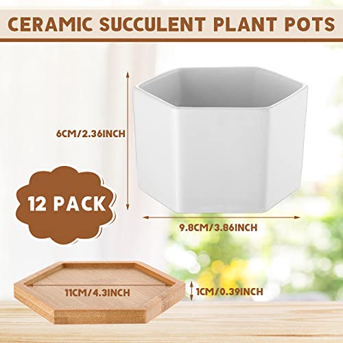 Meanplan 12 Pack Small Succulent Plant Pots Bulk 4 Inch White Ceramic Plant Pots With Bamboo Saucers Hexagon Flower Plant Pot With Drainage Holes For Indoor Outdoor Succulent Flower Plant Cactus Herb #TOP1