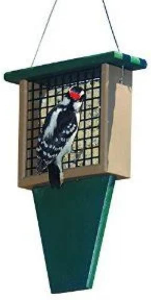 Songbird Essentials Rubicon Suet Feeder with Tail Prop Hunter Green