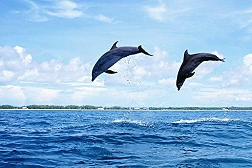 Amazon Co Jp A0 特大 ポスター イルカ海波ジャンプカップル 壁紙ウォールステッカーポスター A0 11x841mm ホーム キッチン
