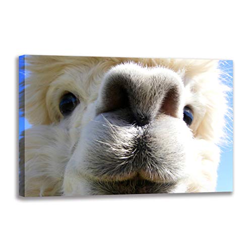 Poster alpaga pour grand tableau salon moderne et chaleureux 90 x 140 cm