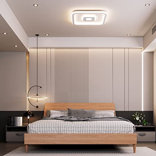 SHYOSUCCE Plafoniera LED Soffitto 30W Dimmerabile