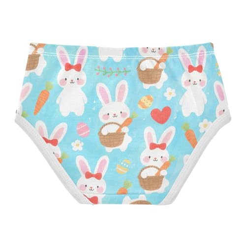 Training Panties Hipster Triangle Panties Breathable Underwear for Baby Girls in Sizes 2T,3T, 4T, 5T, 6Y and 8Y2