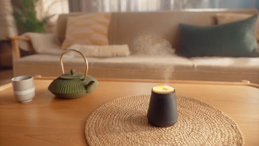 Airwick Ricariche per Diffusore di Oli Essenziali Armonia Istantanea, Confezione da 6 Profumatore per Ambienti alla Fragranza Brezza Oceanica