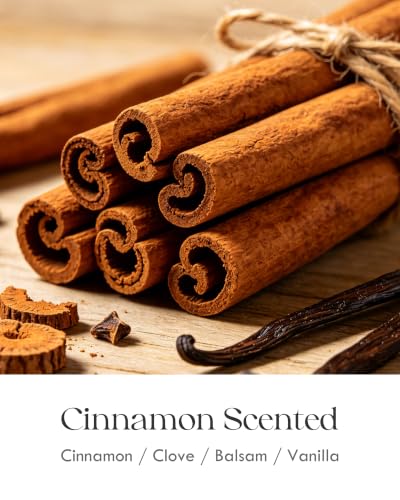 Image of AOOVOO Cinnamon Odor Eliminating Highly Fragranced Candle - Eliminates 95% of Pet, Smoke, Food, and Other Smells Quickly, Non Toxic Air Freshing Soy Candle, 9 oz Up to 50 Hours Burn time