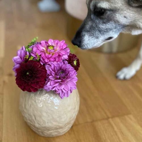 [ENGLISH] Judith, what is beautiful about flowers?!