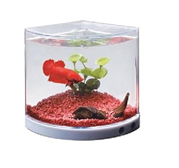 betta fish tanks amazon