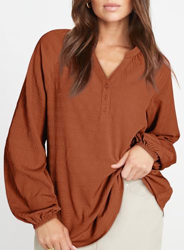Dokotoo Womens Tops Dressy Casual Lantern Long Sleeve Shirts Fall Outfits Textured Business Blouses V Neck Button Down Shirts3