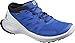 Produktbild SALOMON Herren Shoes Sense Flow GTX Laufschuhe, Blau Eisblau Perlblau Schwarz, 47 1/3 EU