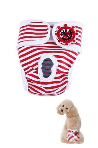 Bule Maple }i[pbh  IcJo[ }i[xg j̎q ̎q (M, bh)