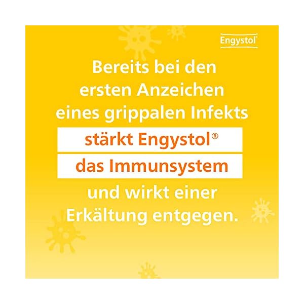 Engystol - natürliches Arzneimittel zur Immunstärkung bei grippalen Infekten, Tabletten 250 Stück – Bild 4