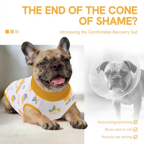 Image of SAWMONG Recovery Suit for Dogs After Surgery Professional, Dog Spay Surgical Suit for Female Dogs, Dog Onesie Bodysuit for Surgery Male Substitute E-Collar Cone, Lemon Yellow, X-Small