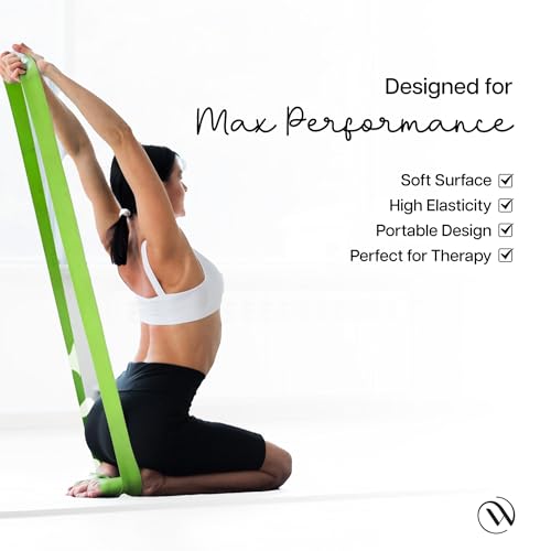 Image of Wiselife Professional Latex Resistance Thera Band | 48x4 inch | 100% Natural Latex Resistance Band | for Warm-Up, Stretching, Strength Training, Exercise, Gym Workout & Yoga
