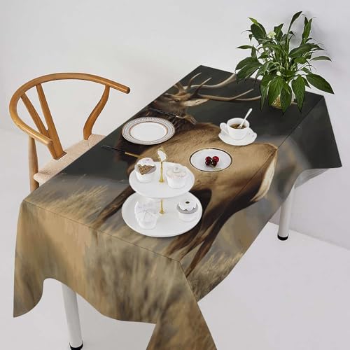 Nappe imperméable et infroissable en polyester pour protéger la table de cuisine - 3