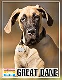Photo Gallery great dane calendar 2026: weekly planner for pet lovers and dog enthusiasts Photo Gallery great dane calendar 2026: weekly planner for pet lovers and dog enthusiasts