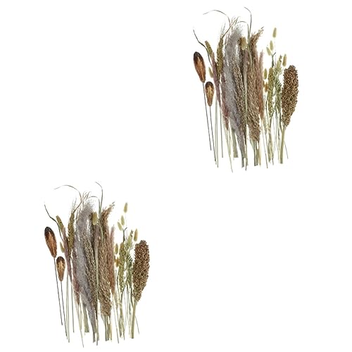 Set de 2 arreglos de flores secas decorativas Boho miniatura 1