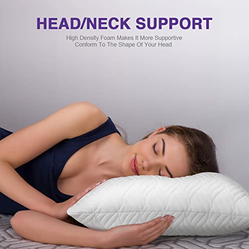 Wishsmile Shredded Memory Foam Pillows For Sleeping Firm Support Pillow Bed Queen Size Set Of 2 With Zipper,Adjustable Firmness To Side Sleepers, Back Sleepers And Stomach Sleepers,2 Pack,20X30 #TOP2