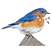 Madd Capp Bluebird 300 Piece Jigsaw Puzzle For Ages 10 and up - Unique Animal-Shaped Border, Poster Size, Challenging Random Cut, Five-Sided Box Fits on Bookshelf, Includes Educational Fun Facts
