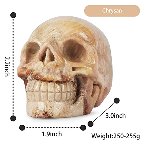Hxswkk Crystal Skull Sculpture 3 Inch Hand-Carved Skull Decor Human Head Skeleton Skull Statues And Figurines Home Gifts Chrysanthemum #TOP1
