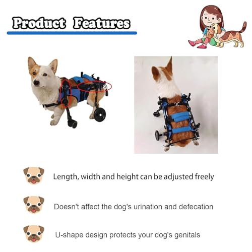 Fauteuil roulant pour chien avec attelle de jambe et support hanches réglable - 4