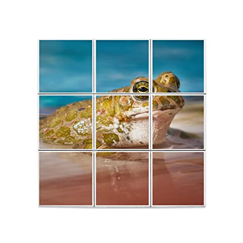 Carreaux Céramique Crapaud Vert 20x20 cm Tableau Mural Haut de Gamme