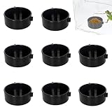 6 Stück Ersatz für Futterboxen 5,5x5,5x2,2 cm Mini Reptilien Futterbox aus Kunststoff für Terrarium, Habitat Feeding Box Replacement für Hamster, Eidechsen, Palastwächter (Schwarz)