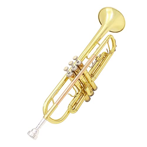 vtFbVi gybg Bb B tbg uX }eA y }EXs[X O[u N[jO NX Xgbv P[X gybg S gybg