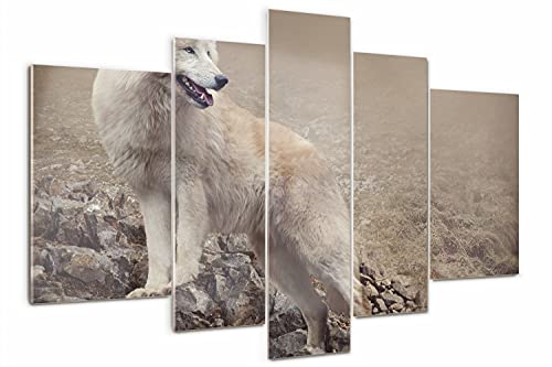 Impression Image Loup Blanc sur Verre acrylique premium - 2