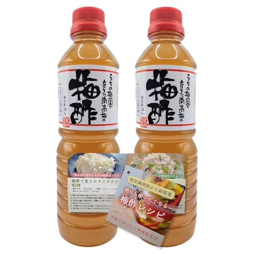 紀州南高梅 無添加 梅酢 500ml 白龍梅本舗 塩分20% オリジナル梅酢レシピ付き 和歌山県みなべ町産 (500ml×2本セット)