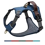 AKAILEA No Pull Dog Harness Medium Sized Dog,Stylish PU Leather Vest with Easy Control Handle,No Choke Front Clip with 2 Metal Leash Clips,Reflective & Adjustable for Walking,Blue,Chest 22-29"