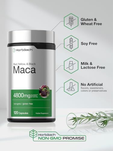 Image of Horbaach Maca Root Capsules for Men and Women | 120 Pills | High Potency Extract | Non-GMO and Gluten Free Formula