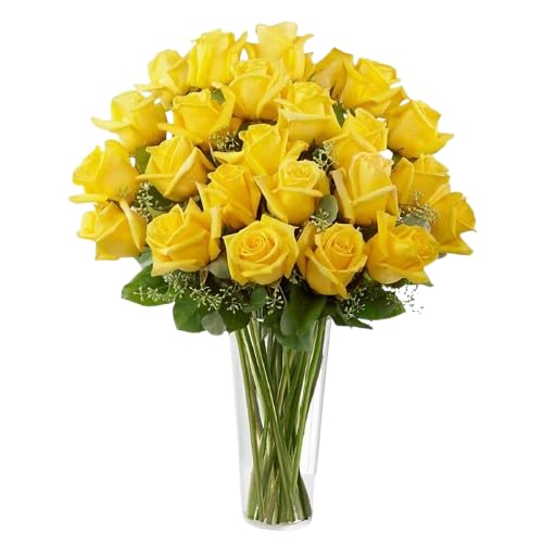 DECOALIVE   Ramo de Rosas   Set 25 Flores Amarillas   Bouquet de Flores Naturales   Flores Frescas Online