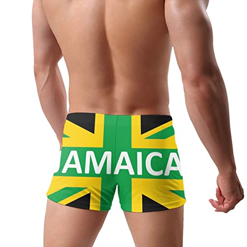 Watercolor Flamingo Pattern Mens Trunks Swimwear Brief Swimsuit Shorts Boxer Pants4