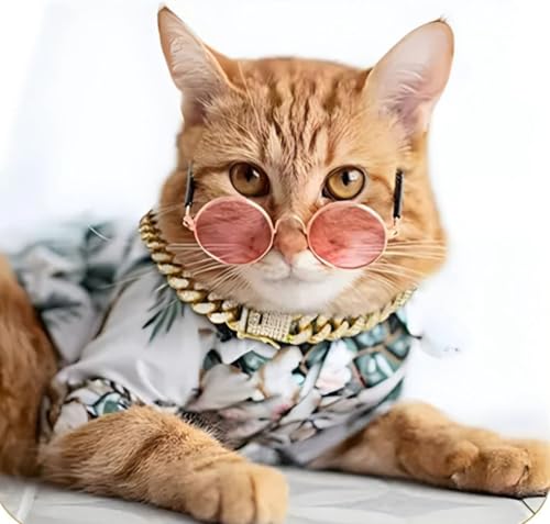 Image of Silver Cat Chain Collar with Bling，Sparkly Diamond Metal Cuban Link Dog Collars, Rhinestone Glitter Puppy Necklace for Small Medium Large Pet Dogs Cat