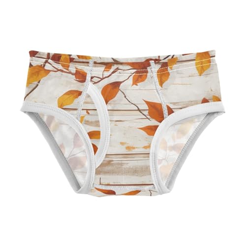 KLL Autumn Leaf on Old White Wooden Little Boys Cotton Nighttime Underwear Cute Children Undies