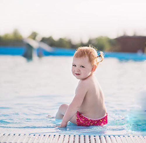Imse Vimse Reusable Swim Diaper For Baby And Toddler Girls With Ruffle And Snaps (Pink Flamingo, Xl 24-31 Lbs) #TOP3