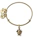 Alex and Ani Turtle Rafaelian Gold Bangle Bracelet