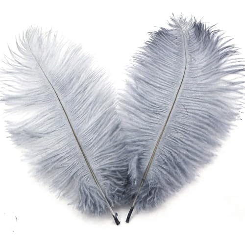 10 Stück 20-25cm Natürliche Straußenfedern,Strauß Feder zum Basteln,Bastel Federn für DIY Traumfänger Zubehör,Heimdekoration,KostüMe,Tischdeko...
