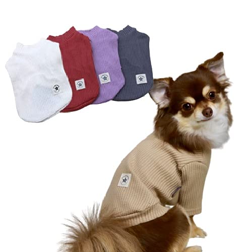 ykamakuradog qhbOzX^[^ObtgbvX  ̕ ybg hbOEFA (x[W, L)