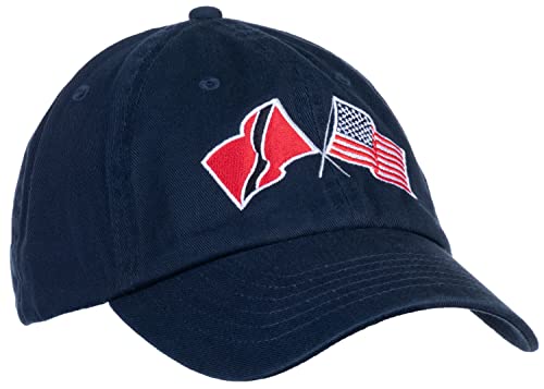 Image of Ann Arbor T-shirt Co. American Friendship Nations Flag Baseball Low Profile Dad Hat for Men Women