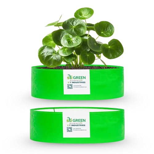 Image of HDPE Grow Bags for Plants 12X6 Inch (Pack of 2) | 260 GSM Heavy Duty UV-Protected Round Green Colour Plant Bags for Terrace and Vegetable Gardening | Strong & Reusable|