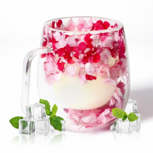 RUIOMII 370ml Double Wall Glass Dried Flower Mug, Cute Coffee Mugs with Handle, Insulated Coffee Cup Birthday Gifts for Mum Girlfriend Teacher