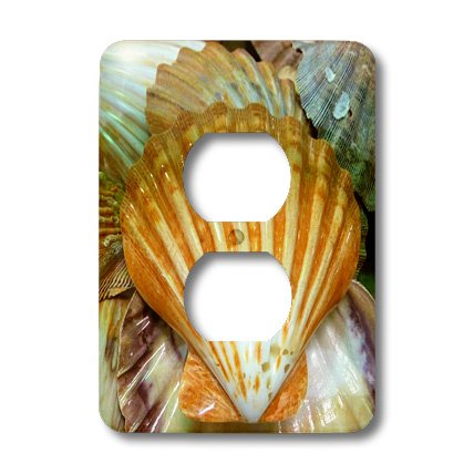 Sea Shells cache-prise 2 postes pour une ambiance de vacances au salon - 2