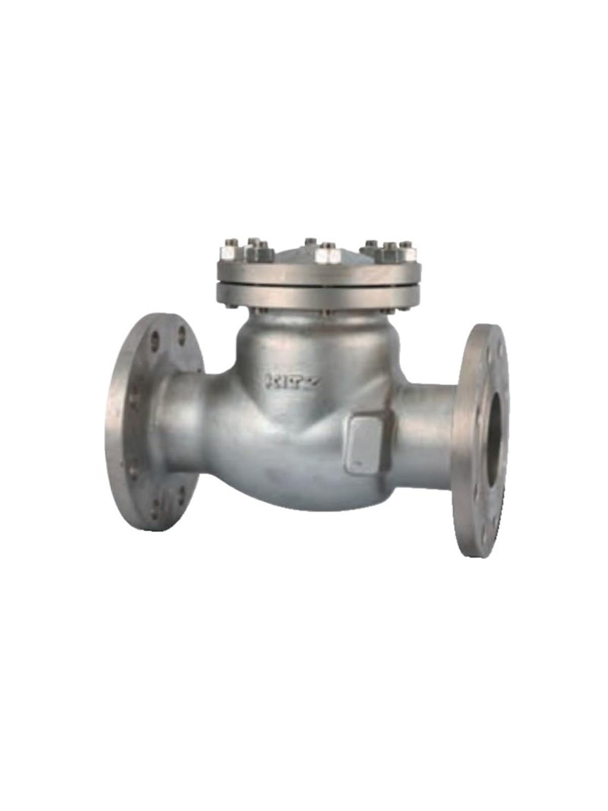 Uyzndkvsi Dn100 (4 Inches) Stainless Steel 304 Swing Check Valve(Dn100 (4 Inches))