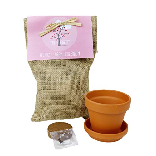 Pflanzset Baum Set Geschenkidee Zur Hochzeit Geschenk Brautpaar Cover