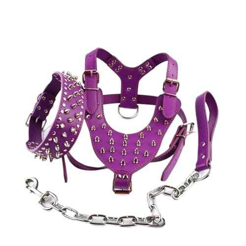 Laisse en cuir pour chien de petite taille, idéal balade