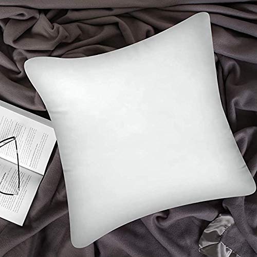 Image of THE HOME STYLE Cotton Vaccum White Cushion Fillers (18 x 18 INCH, 1 Piece)