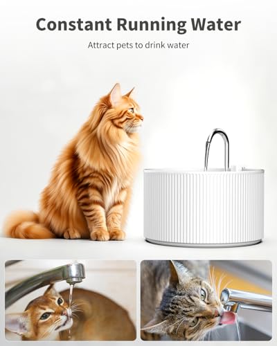 Image of Lawfery 74oz /2.2L Ceramic Cat Water Fountain, Automatic Pet Drinking Fountain for Indoor Cats & Small Dogs, BPA-Free Water Dispenser with Ultra-Quiet Pump, Easy Maintenance