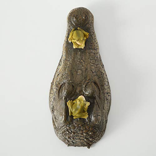 Whw Whole House Worlds Floating Crocodile Head With 2 Frogs, Garden Art Or Decoy For Water, Pools And Ponds, Over 1 Ft Long, (32 Cm) #TOP5
