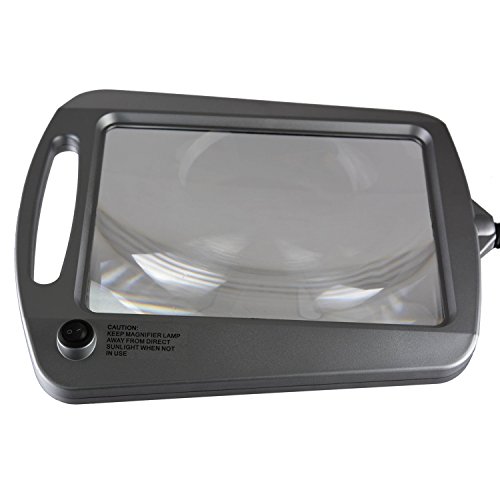 Daylight 24 402039-BRNZ Full Page 8 x 10 Inch LED Illuminated Floor, Bronze Magnifier Lamp